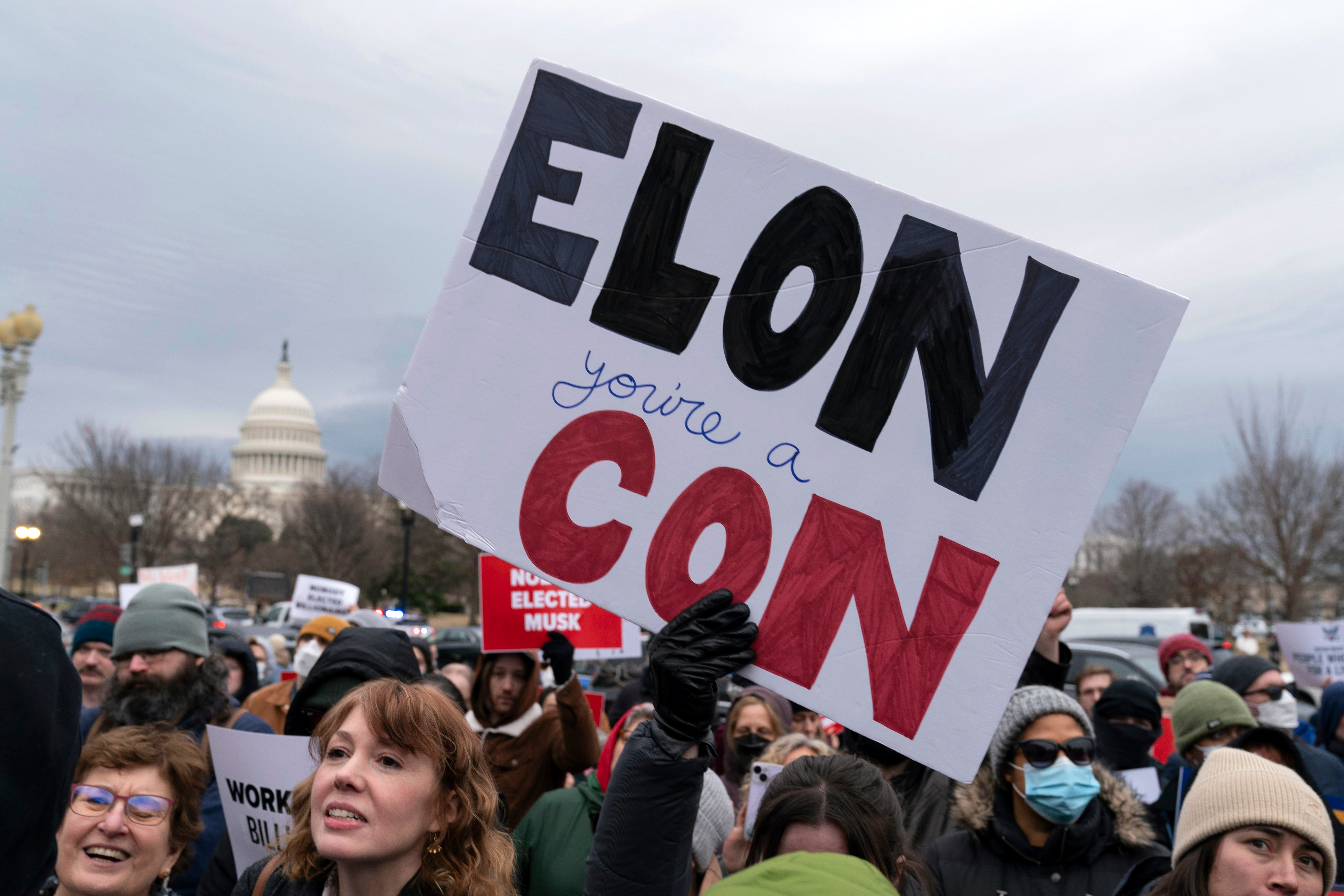 People protest against Elon Musk and his Department of Government Efficiency