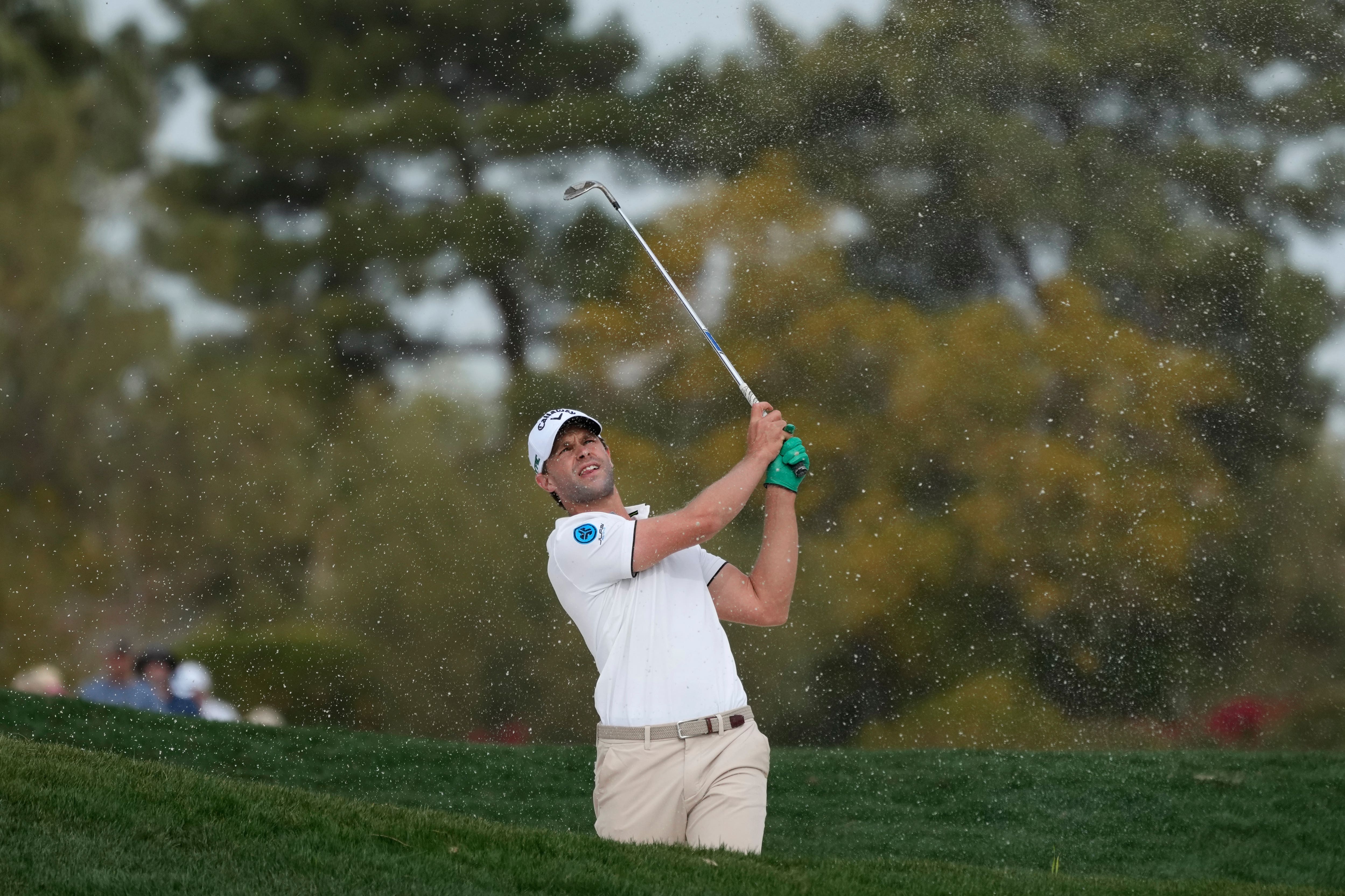 Belgium’s Thomas Detry won his first PGA Tour title in the WM Phoenix Open (Ross D. Franklin/AP)