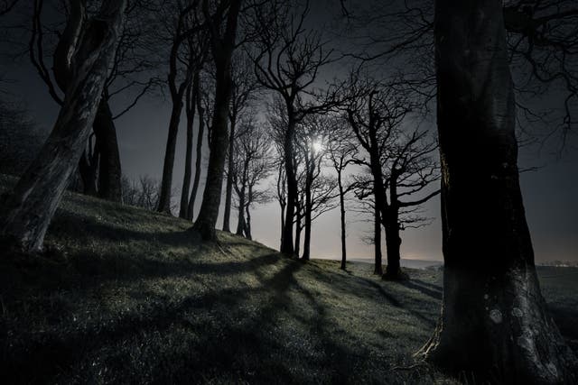 Chanctonbury Coven by Giles Embleton-Smith, the winner of the Life At Night category of the South Downs National Park’s annual photo competition (Giles Embleton-Smith/South Downs National Park/PA)