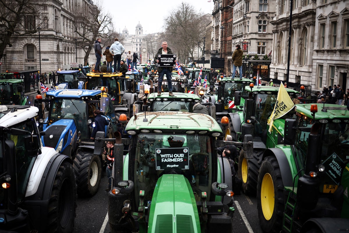 ‘If the farmers continue, they’ll win’: Hundreds of tractors descend on Westminster in latest tax protest ‘If the farmers continue, they’ll win’: Hundreds of tractors descend on Westminster in latest tax protest