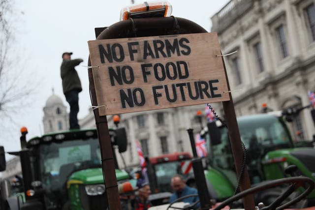 <p>Farmers protest in London</p>