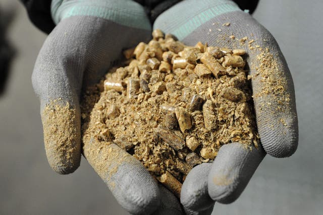 The Drax power station in North Yorkshire burns biomass (Anna Gowthorpe/PA)