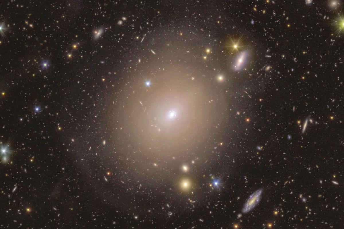 Space telescope spots rare 'Einstein ring' of light around galaxy in our cosmic neighborhood