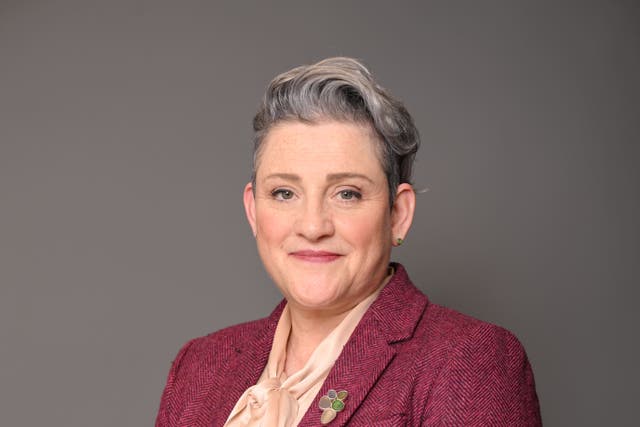 <p>Ashley Dalton was appointed a health and social care minister when Andrew Gwynne left the government after derogatory remarks he had made in a WhatsApp group came to light</p>