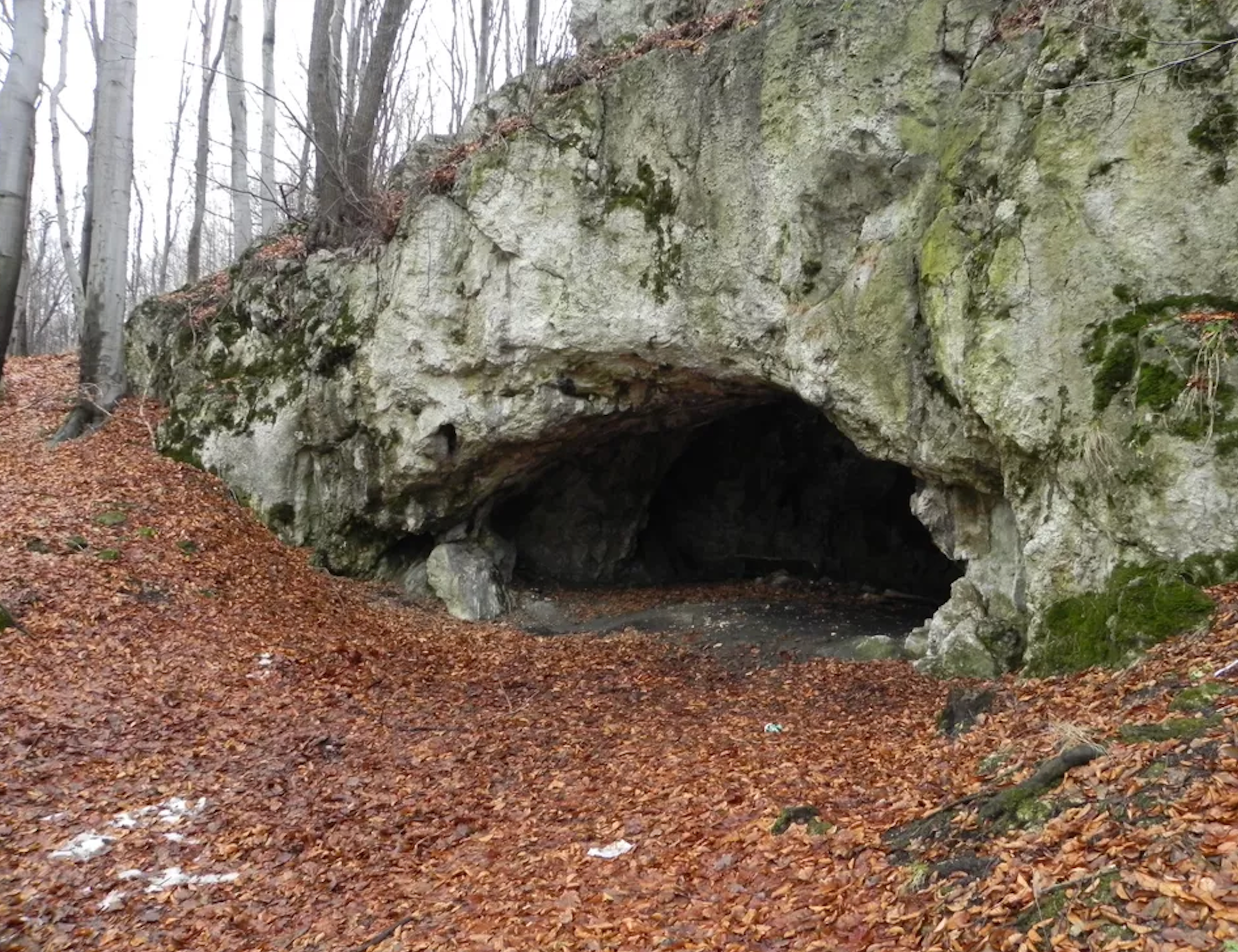 Entrance to Maszycka cave