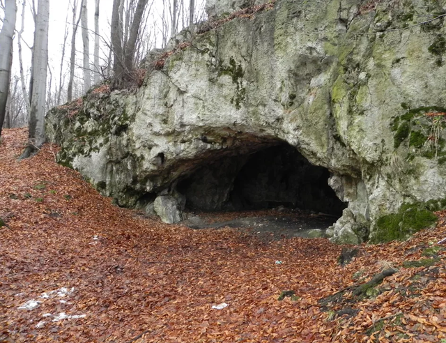 <p>Entrance to the Maszycka cave</p>