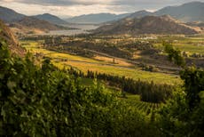 British Columbia’s Great Wilderness should be top of your bucket list – here’s why