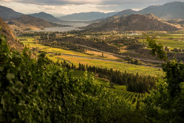 <p>Welcome to the wilderness: embrace the stunning landscapes of British Columbia    </p>