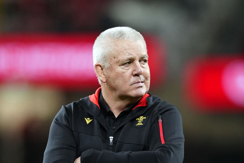 Warren Gatland ‘ruined players’ and ‘lost all power’ with Wales, claims Ugo Monye