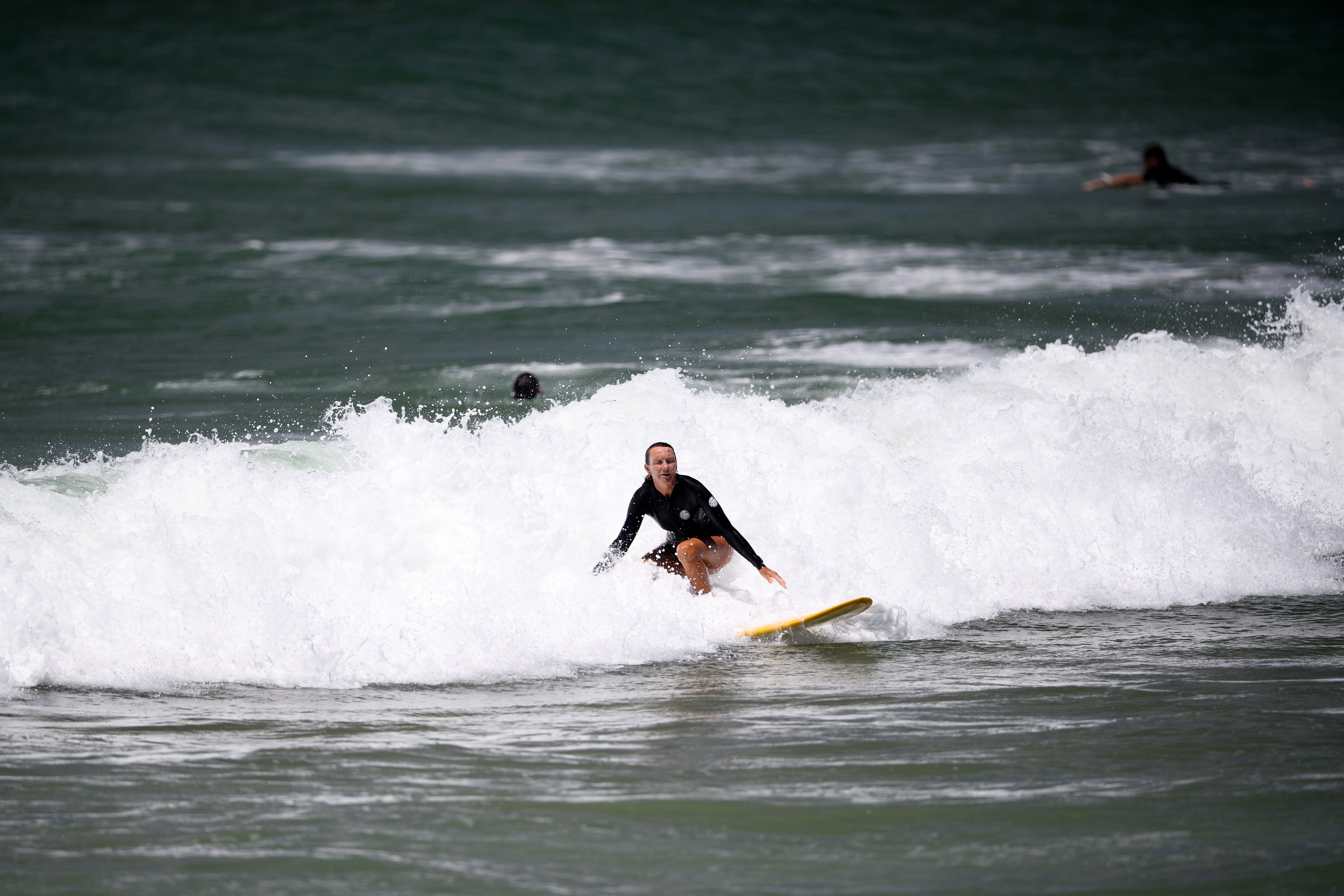 International Shark Attack File Director Dr. Gavin Naylor previously told The Independent that 60 percent of unprovoked shark bites in the database are in low visibility water. The tally suggests that the animals are ‘making a mistake’ when they bite humans venturing into their waters