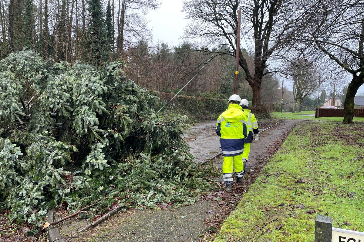 Storm Éowyn inflicts over €4.46 million damages across Ireland