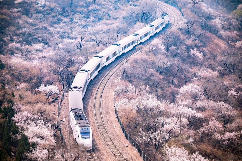 China to launch ‘silver trains’ aimed at elderly tourists to boost economy