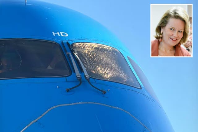 <p>Queen Mathilde was on a KLM flight that made an emergency landing in Costa Rica after damage to the cockpit windshield</p>
