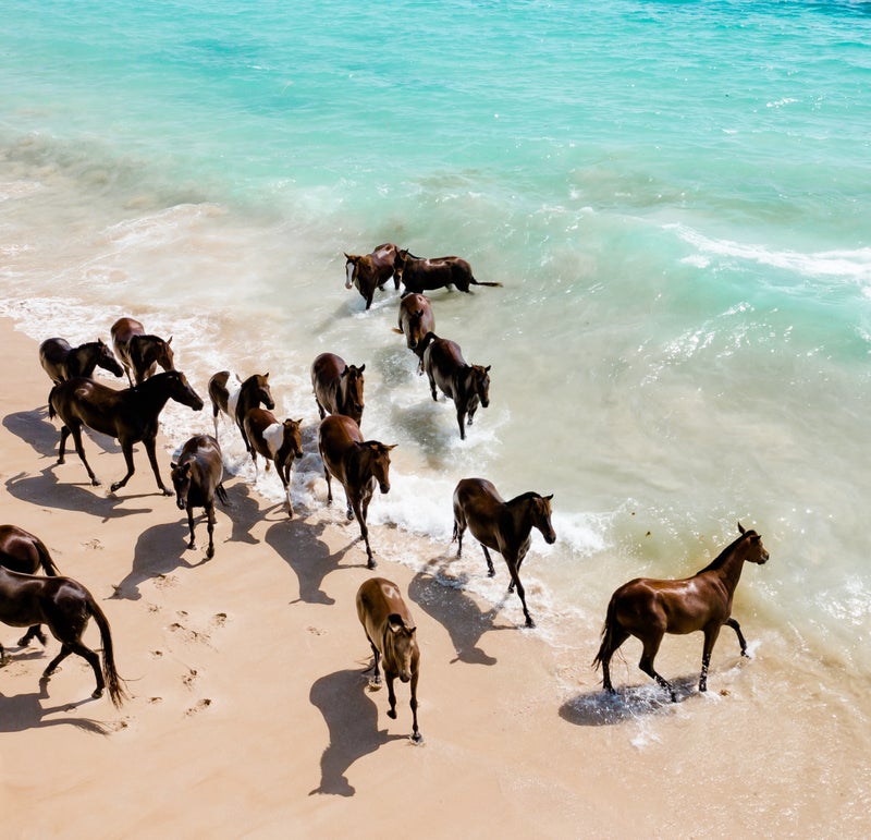 How this luxury hotel on a remote Indonesian island is using horses for wellness