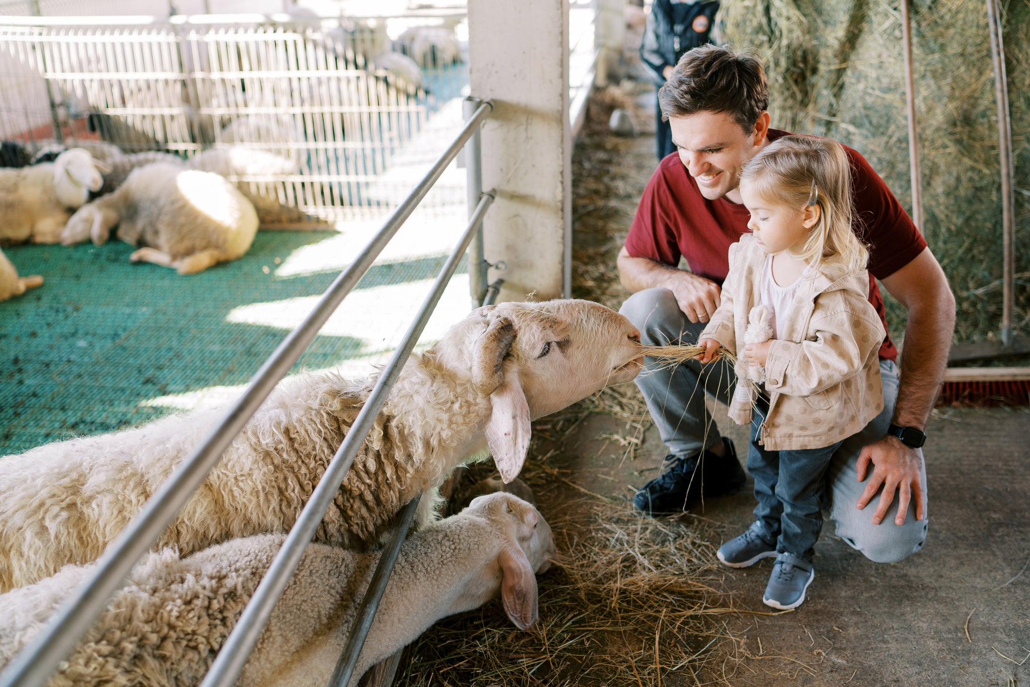 City farms are a great way for urban families to engage with animals