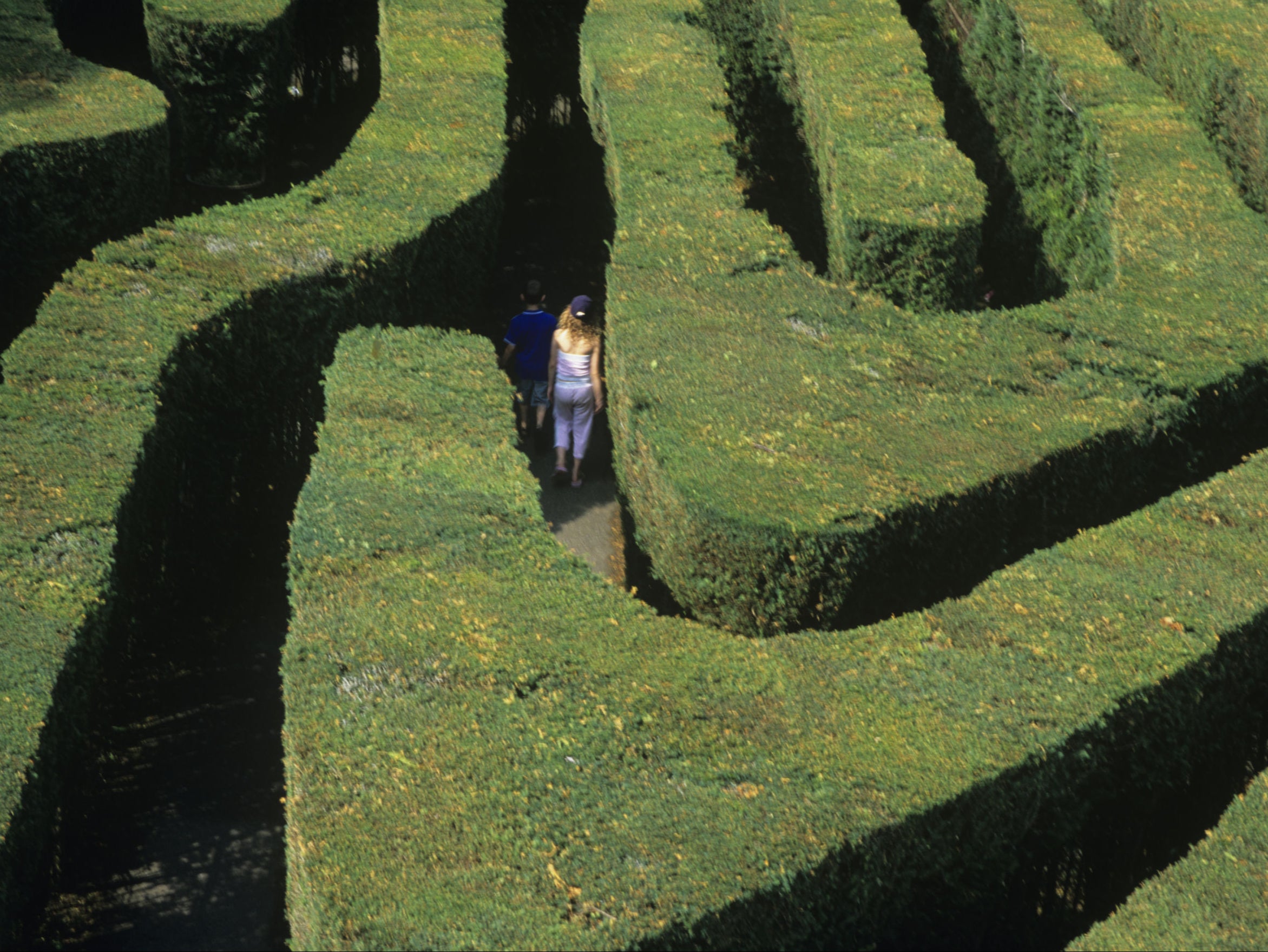 Navigate the bewildering maze at Hampton Court Palace