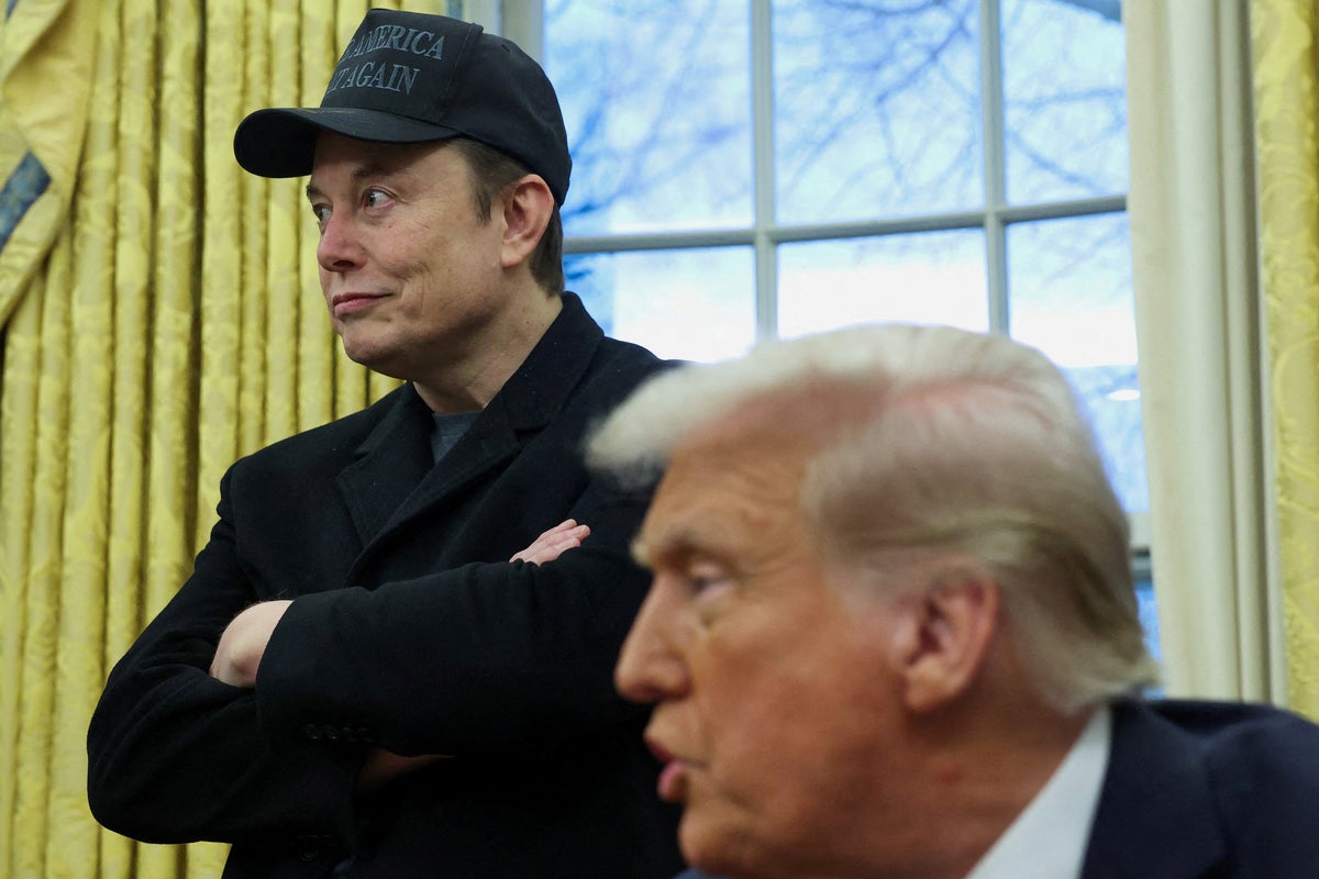 Why we should be worried about Elon Musk’s siege of the US government