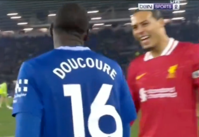 <p>Virgil van Dijk laughs at Abdoulaye Doucoure after the Everton midfielder was shown red</p>