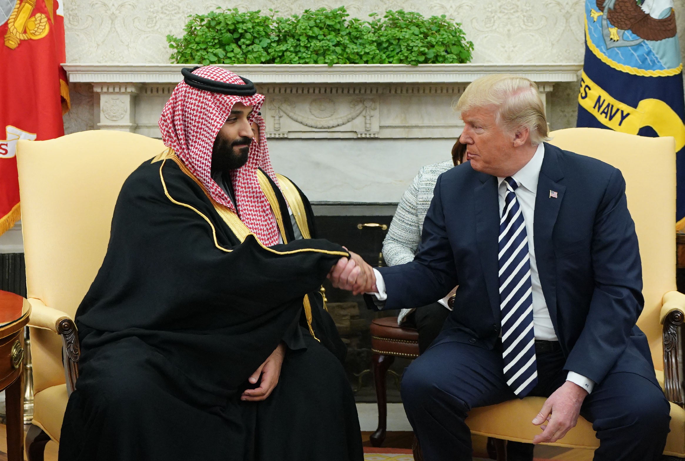 Donald Trump meets Mohammed bin Salman in the Oval Office, March 2018