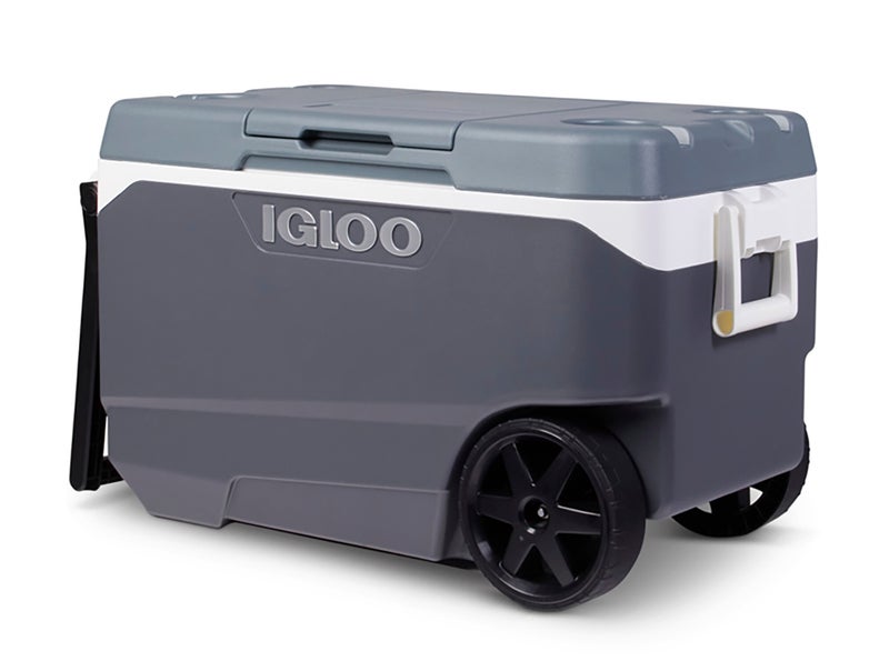 Igloo recalls over a million coolers after handle hazard causes fingertip amputation injuries