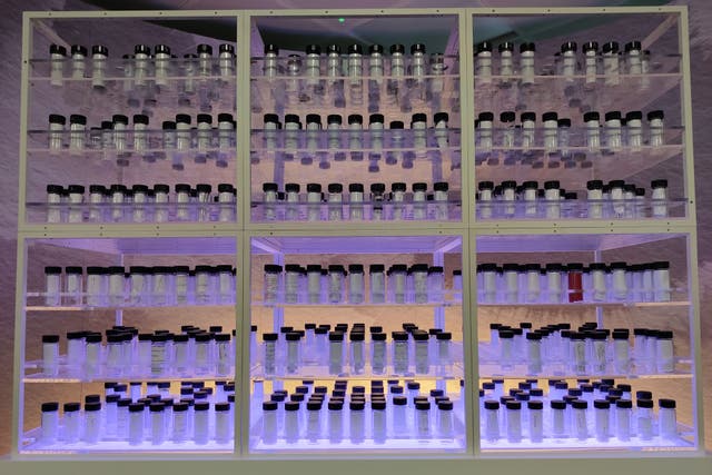 The Infected Blood Inquiry memorial at Fleetbank House in London (Infected Blood Inquiry/PA)