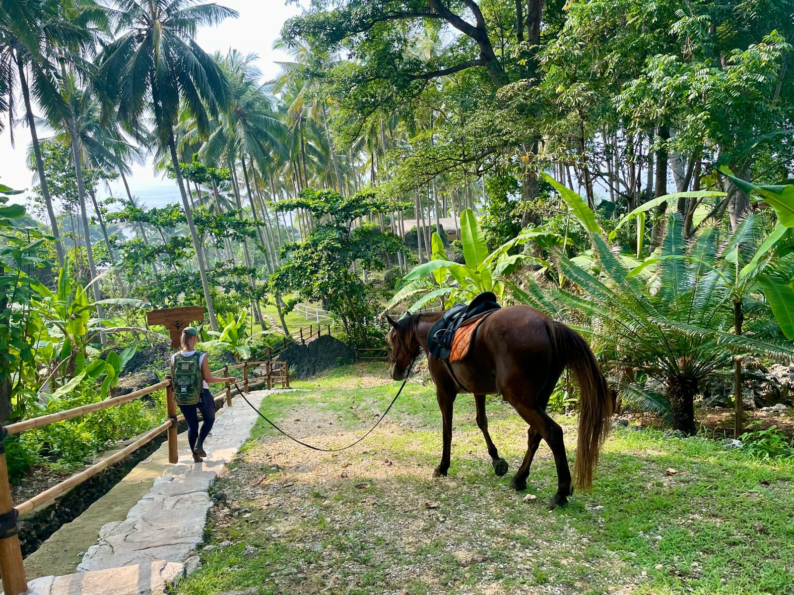 The spa safari involves riding horses through the jungle