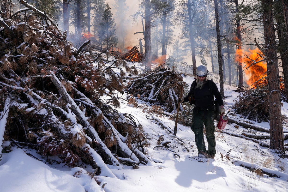 Trump wants states to clean up forests to stop wildfires. But his administration cut off funds