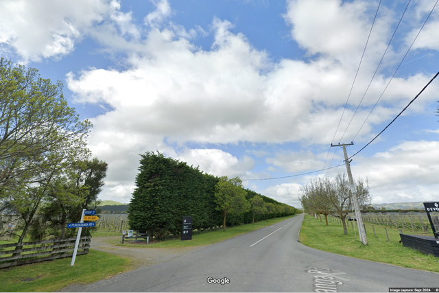 <p>Puruatanga Road where the collision happened</p>