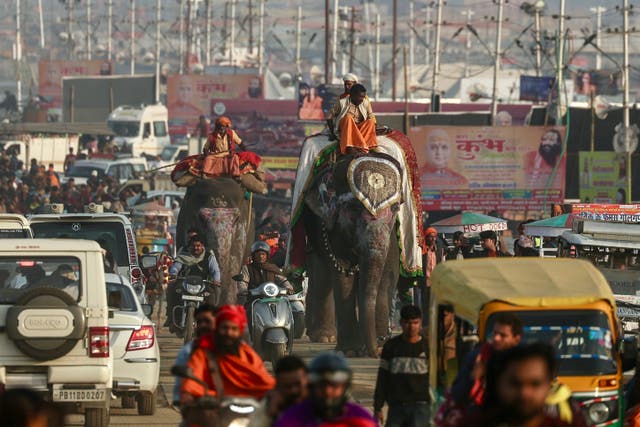 <p>File. Mahouts ride elephants as they leave after a religious procession ahead of the Maha Kumbh Mela festival in Prayagraj on 11 January 2025</p>