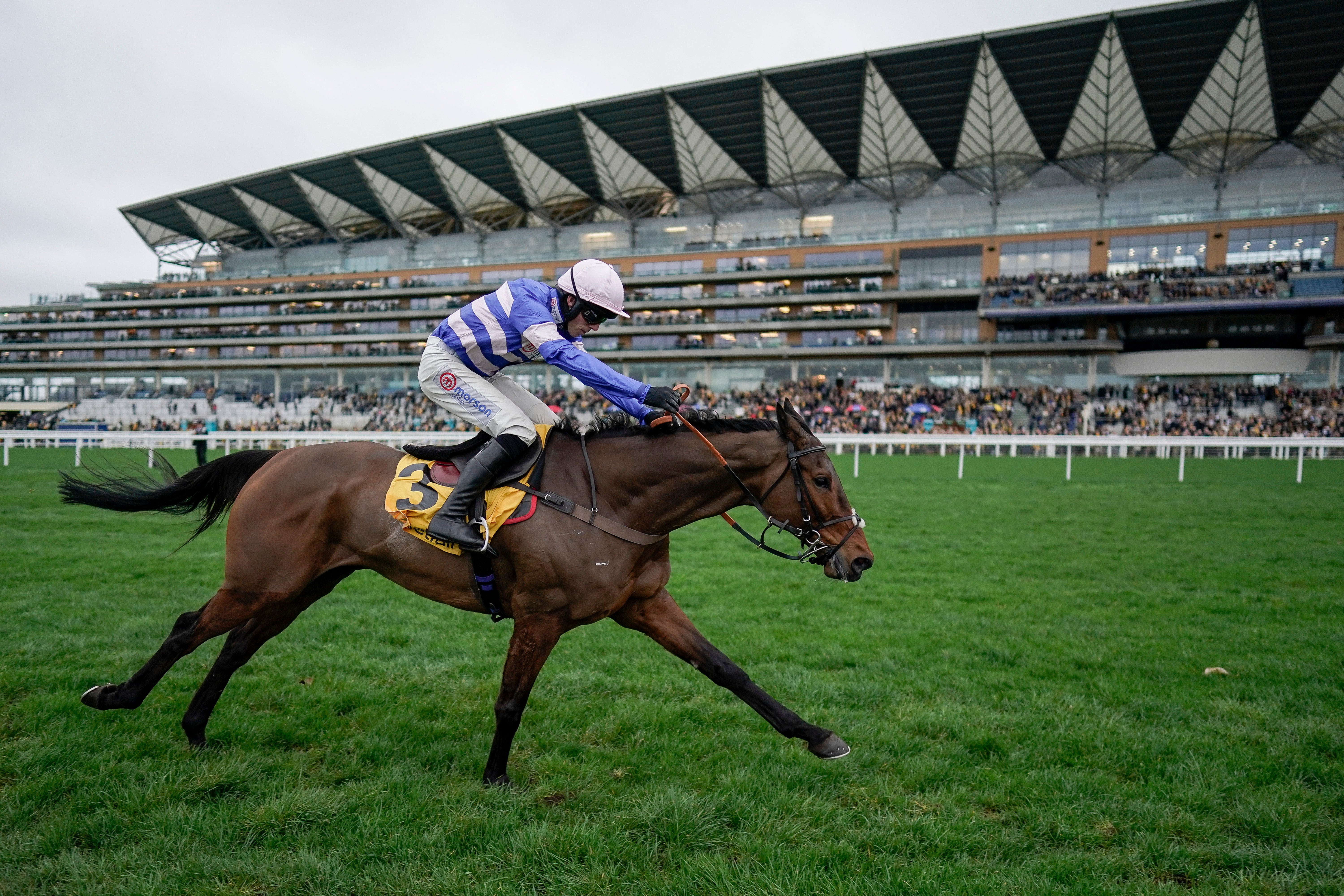 Pic D’orhy won the Ascot Chase last February and is fancied to repeat this weekend
