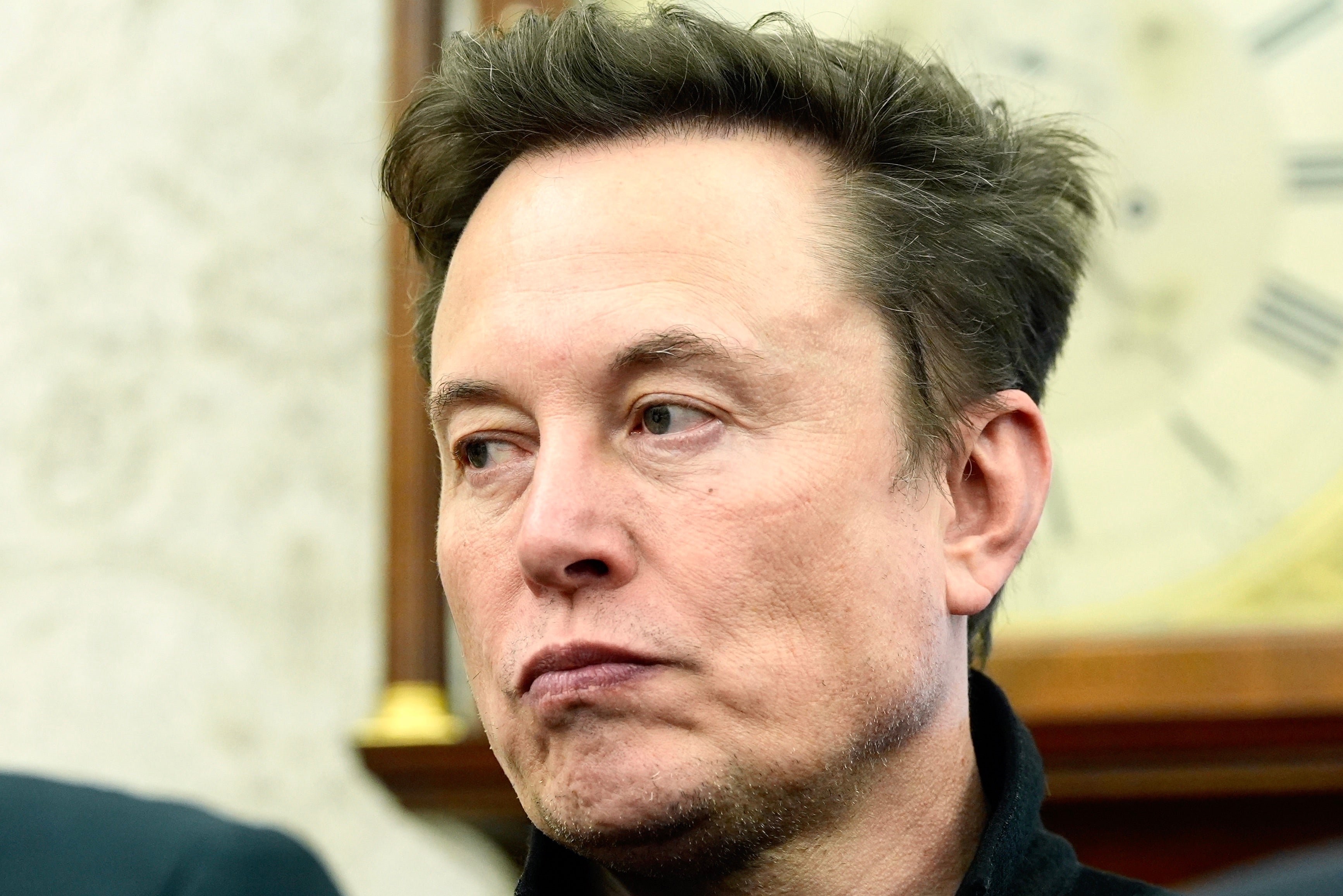 St Clair claims she met Musk in 2023 after he ‘slid into her DMs’