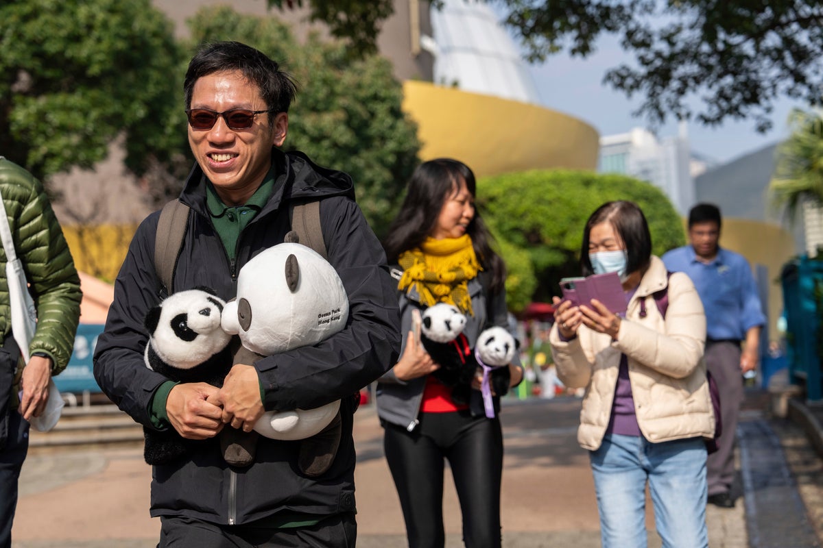 AP Photos: 6-month-old twin panda cubs make public debut in Hong Kong