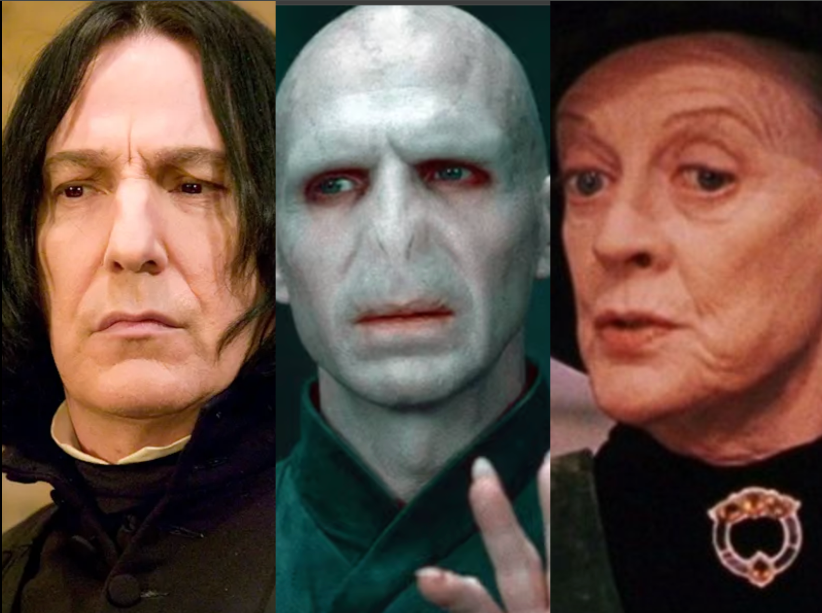 Harry Potter TV show cast rumours, from Voldemort to Snape