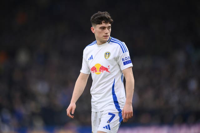 <p>Can Daniel James continue his good form when Leeds face Sunderland? </p>