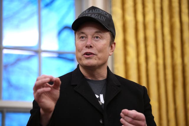 <p>Tesla and SpaceX CEO Elon Musk delivers remarks as he joins US president Donald Trump during an executive order signing in the Oval Office at the White House on 11 February 2025 in Washington, DC</p>