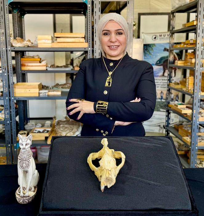 Lead author Shorouq Al-Ashqar. The Bastetodon is named for the cat-headed Egyptian goddess Bastet. Bastet was the sister of Sekhmet, the namesake of the hyaenodont genus Sekhmetops