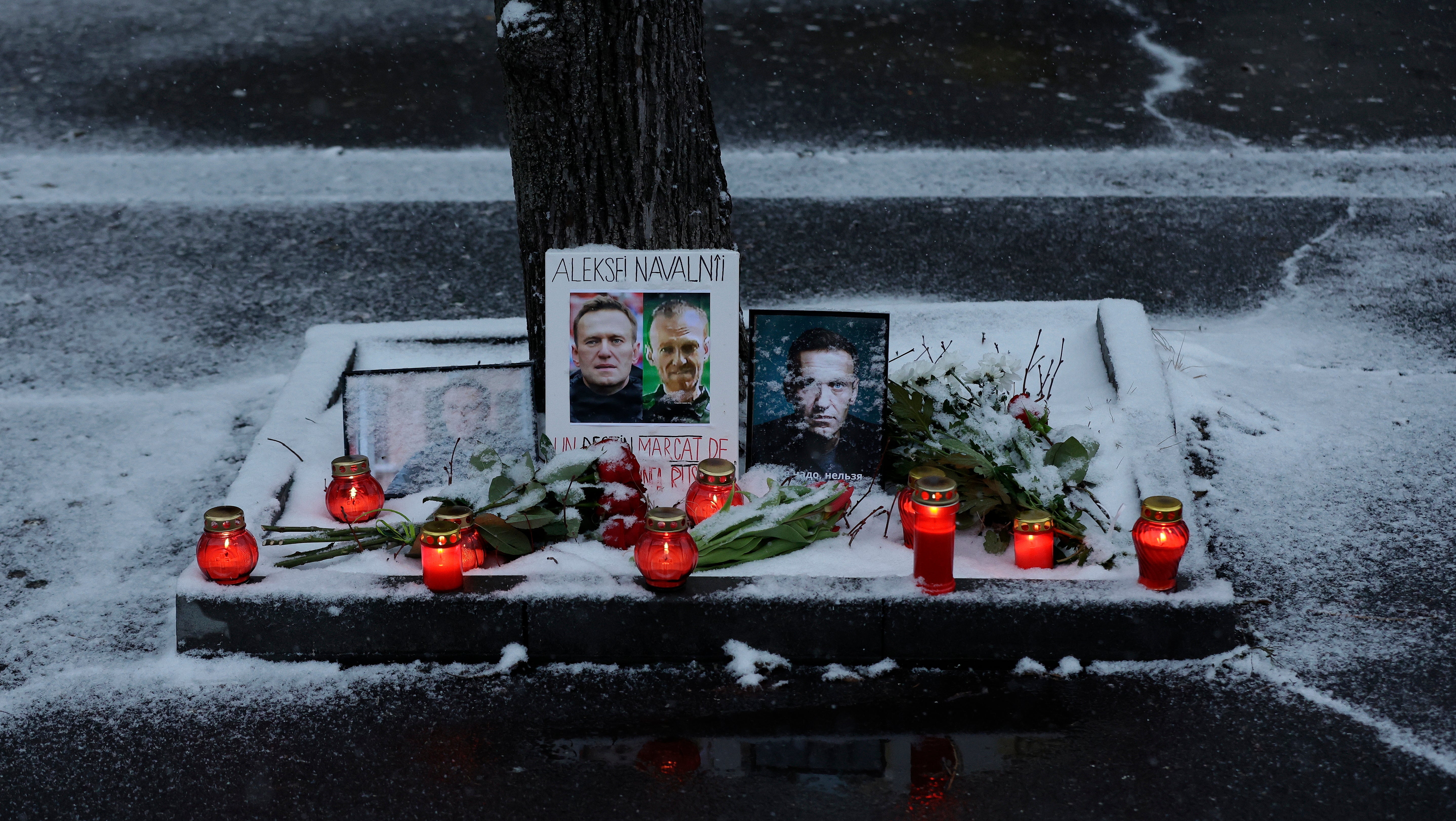 Fresh flowers and burning candles adorn a portrait of late Russian opposition leader Alexei Navalny