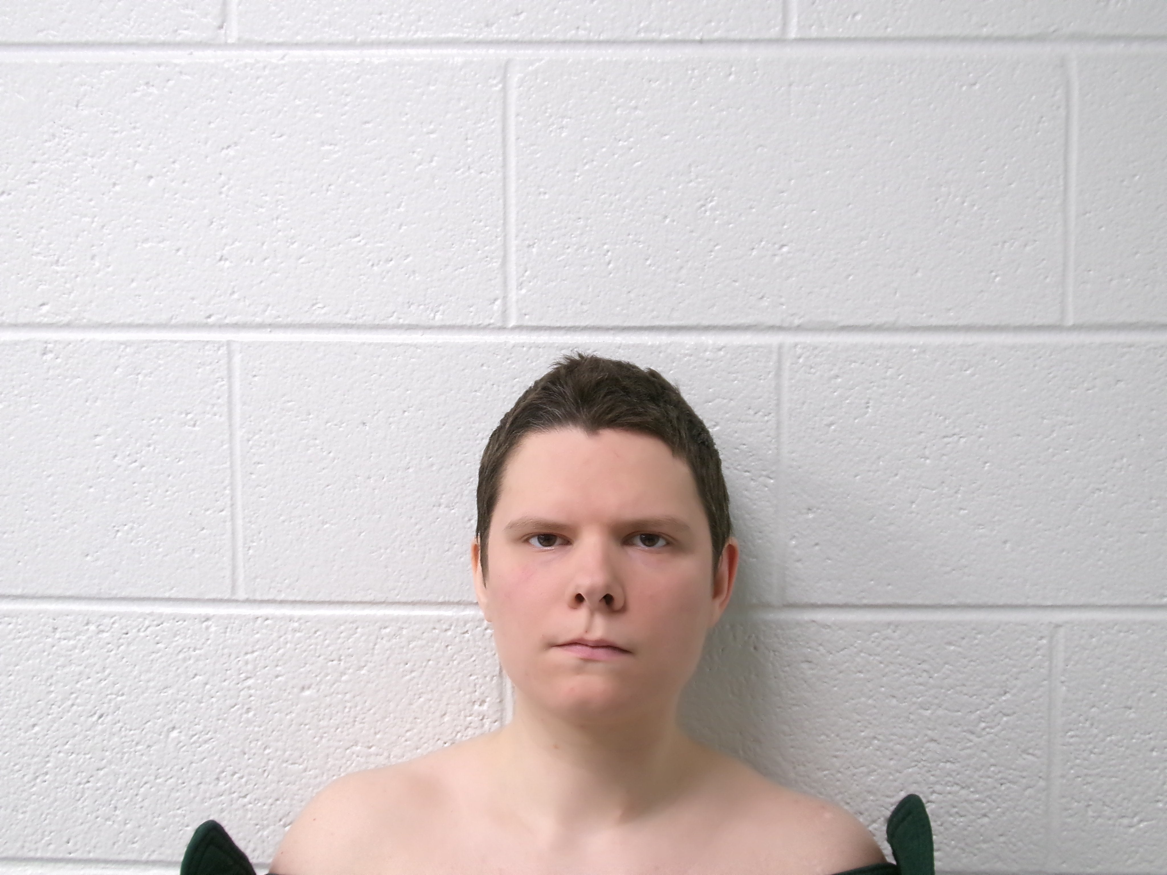 A mugshot of Michelle Zajko from her arrest in February 2025