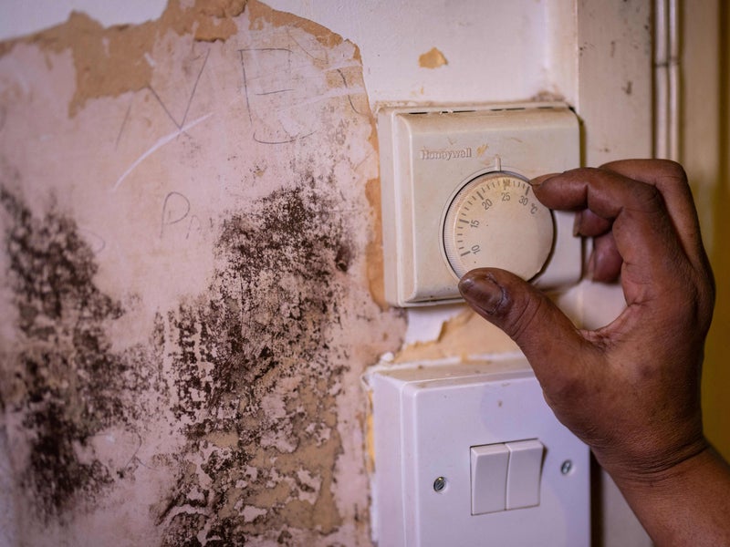 The simple trick that could rid your house of mould