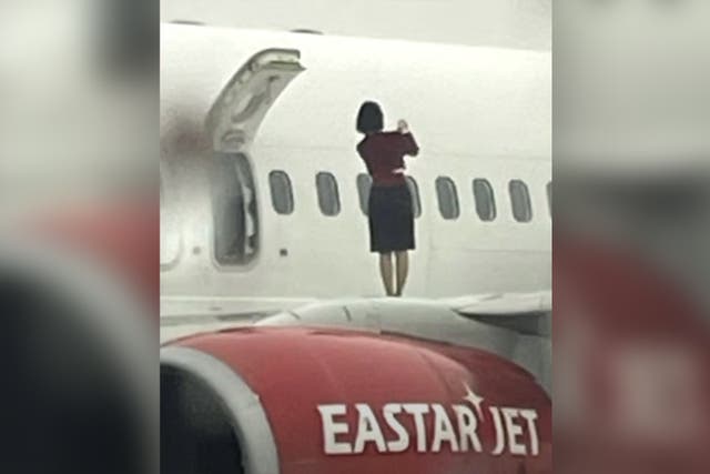 <p>Flight attendants were seen walking on the plane wing and appearing to take photos</p>