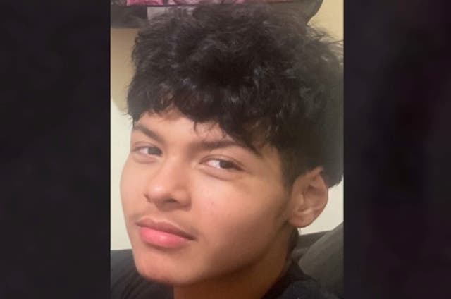 <p>David Gutierrez, 15, was fatally stabbed on Valentine's Day while on a date with his girlfriend, his family says</p>