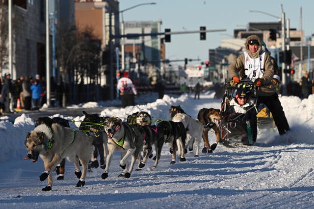 Iditarod Sled Dog Race