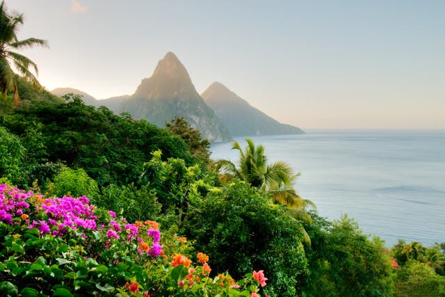 <p>St Lucia is famed for its natural beauty</p>