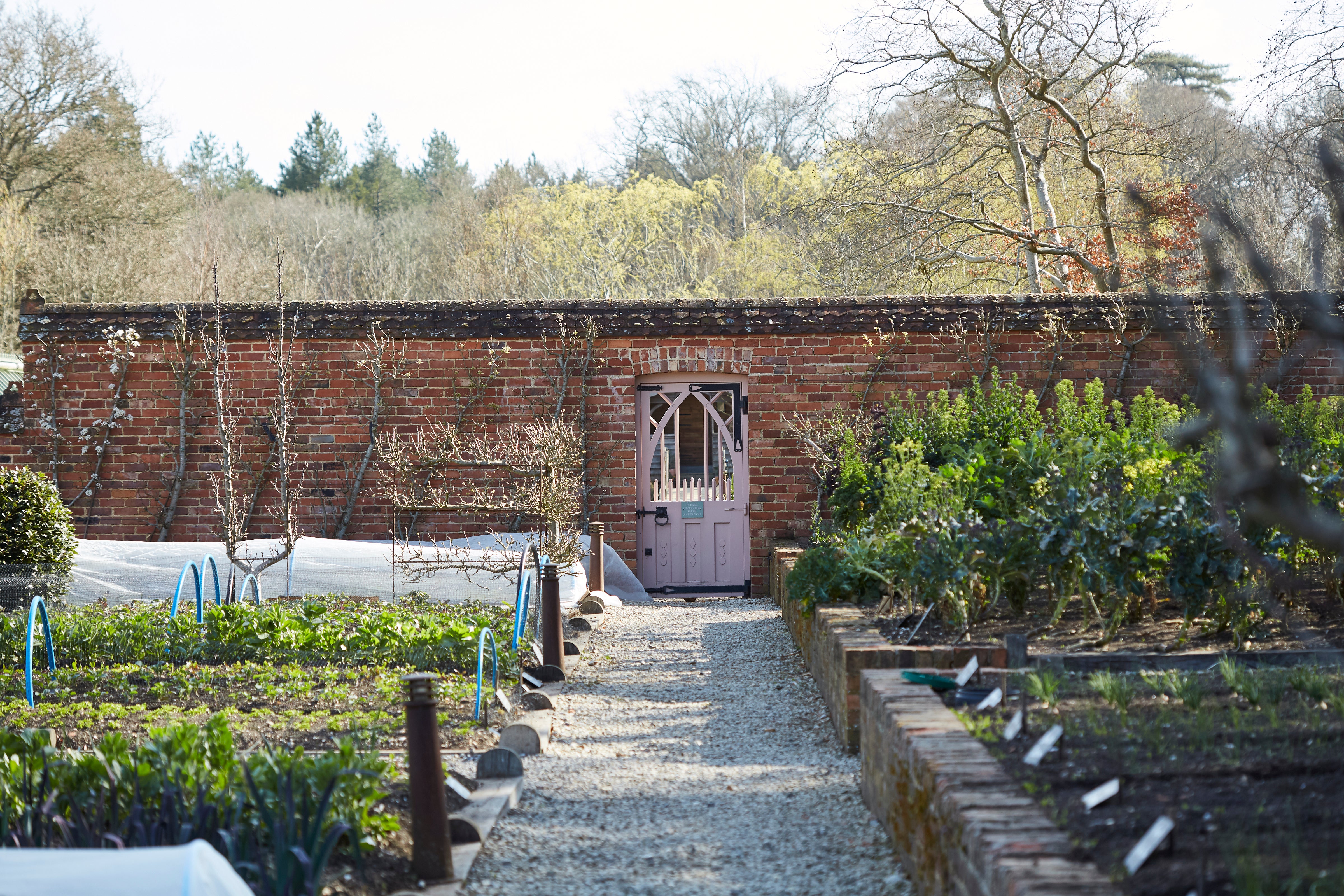 The kitchen garden at The Pig in Brockenhurst, New Forest