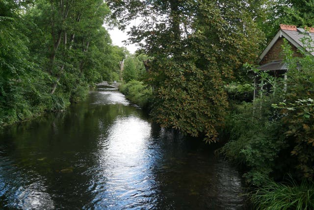 The Wandle flows through south London (Alamy/PA)