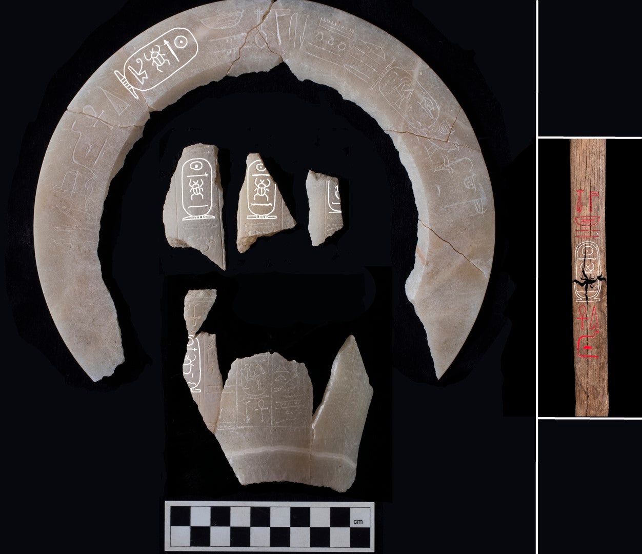 Alabaster fragments bearing the name Thutmose II