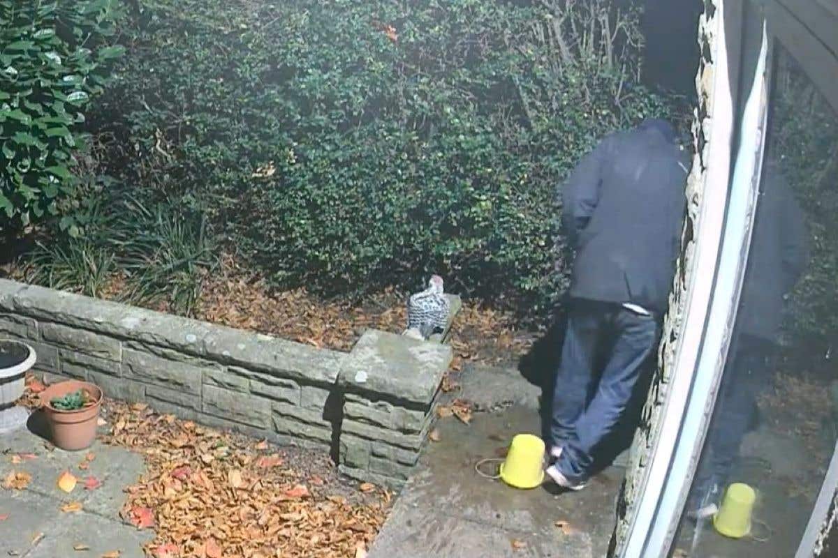 Caught in the act (Northumbria Police)