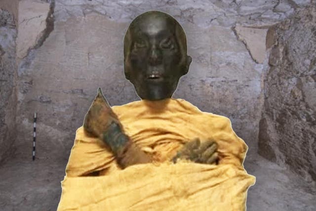 <p>The mummy of King Thutmose II, who ruled during the Eighteenth Dynasty of ancient Egypt</p>