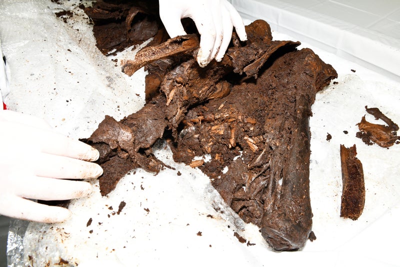 Secrets of the Bellaghy bog body are finally revealed