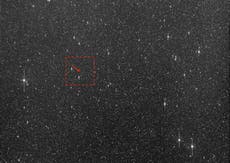 The ‘city killer’ asteroid will almost certainly miss us, scientists assure the world